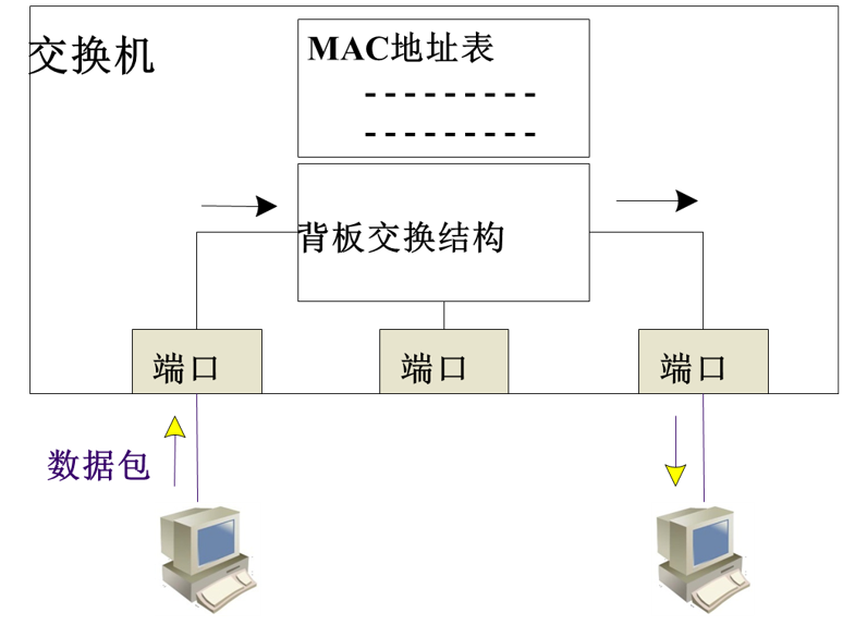 1 网络实验入门